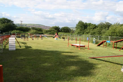 Dog training centre inside