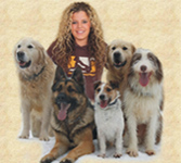 Pet sitter with dogs